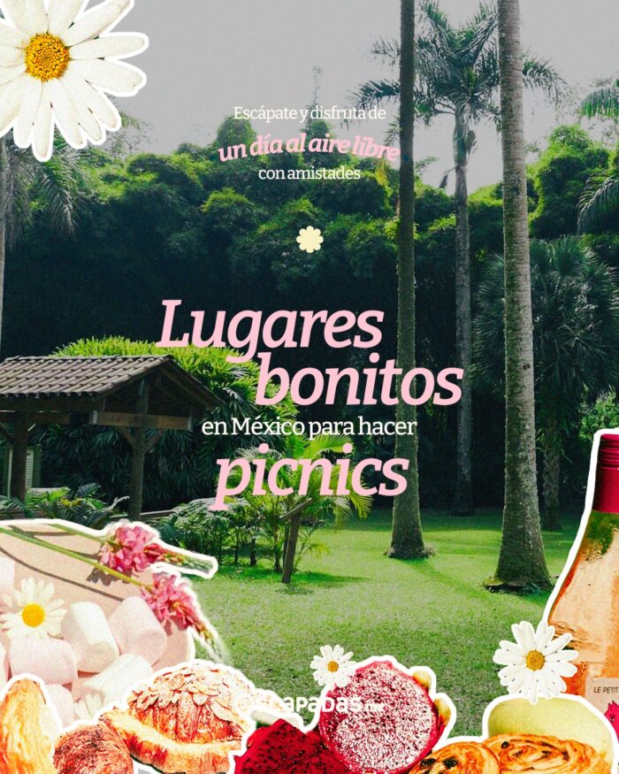 Lugares para hacer picnic con amistades en jardines rodeados de palmas y vegetación abundante