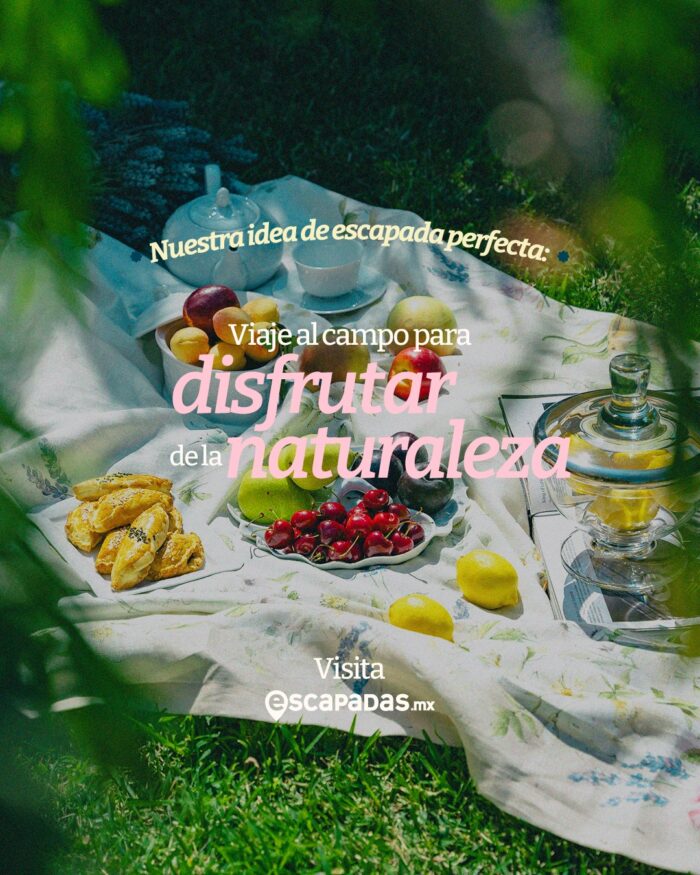Lugares para hacer picnic en la naturaleza con frutas, pan y té sobre un mantel al aire libre