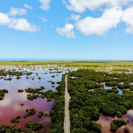 Isla Arena, Campeche: el paraíso entre manglares y flamencos que pocos conocen