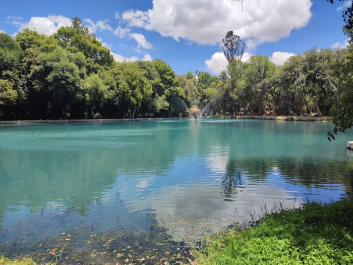 Bosque de las Truchas en Hidalgo