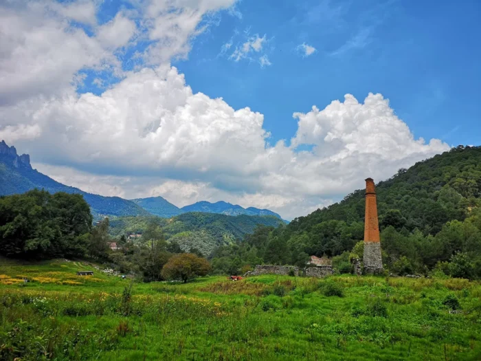 Bosques de México
