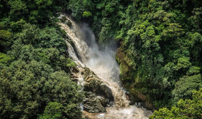 cascada de elefante en 500 escalones orizaba veracruz