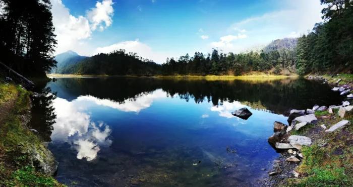 Lugares para hacer picnic junto a la laguna rodeada de bosque en Lagunas de Zempoala