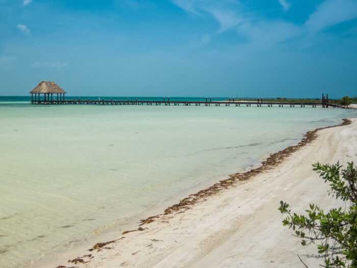 Playas sin sargazo en Quintana Roo