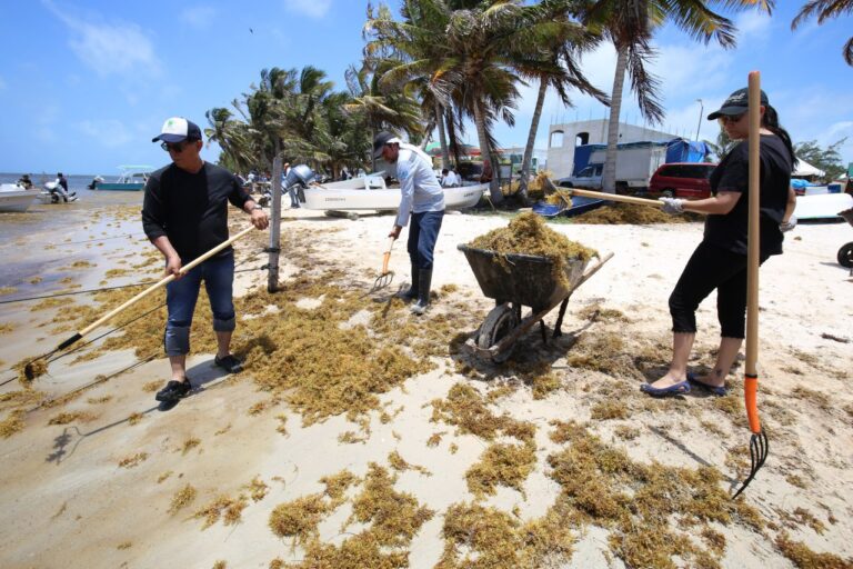 8 playas sin sargazo en Quintana Roo - Escapadas por México Desconocido