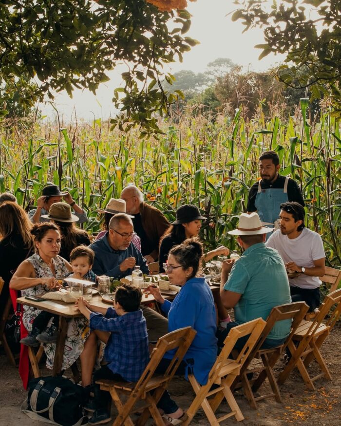 Que hacer en Xochimilco