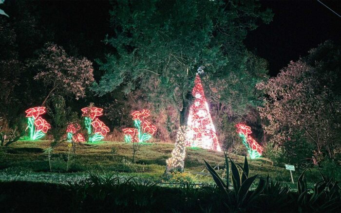 Mundo iluminado: la noche más mágica de Chignahuapan, Puebla