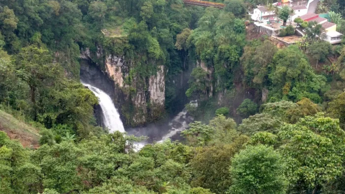 Cascada de Texolo rodeada de vegetación tropical, ideal para quienes buscan qué hacer en Coatepec.