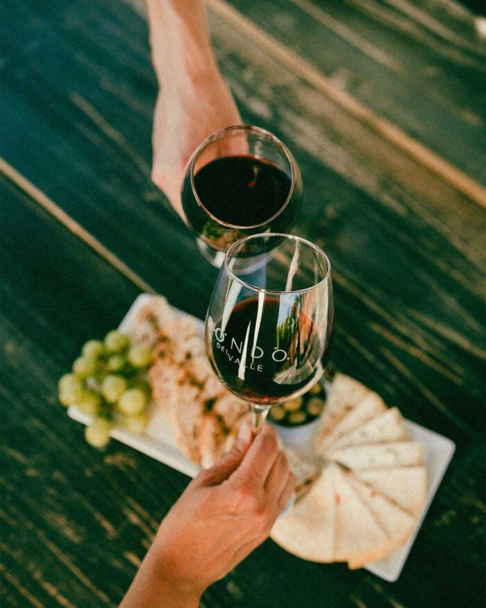viñedo en Valle de Guadalupe