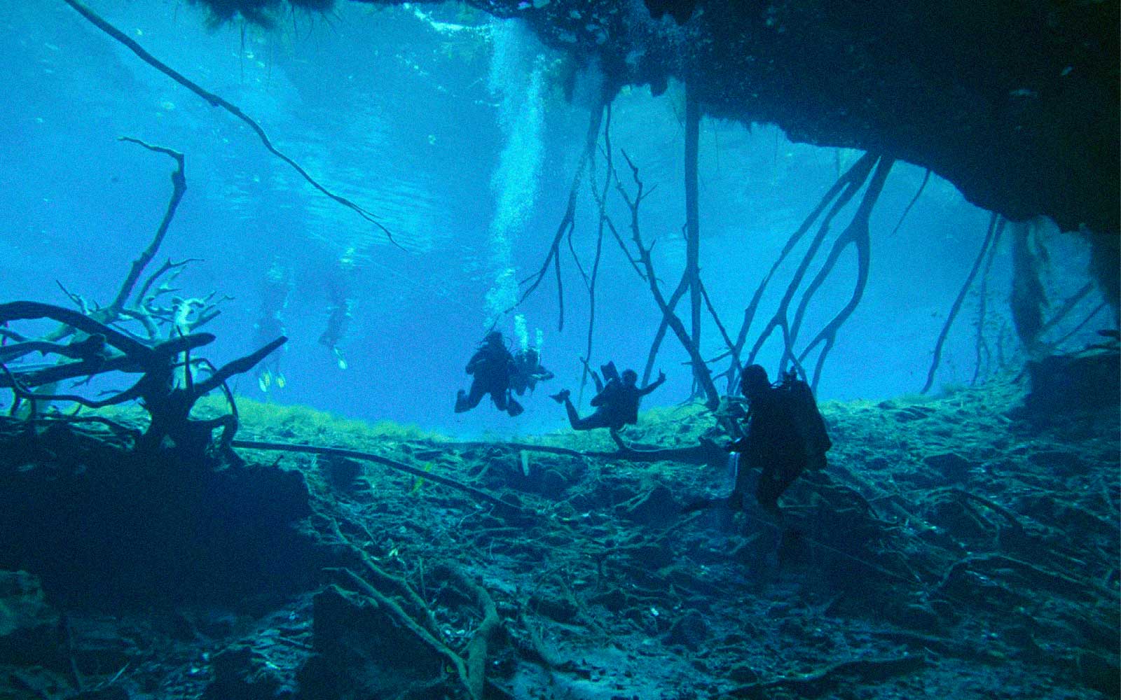 cenotes para bucear en Tulum
